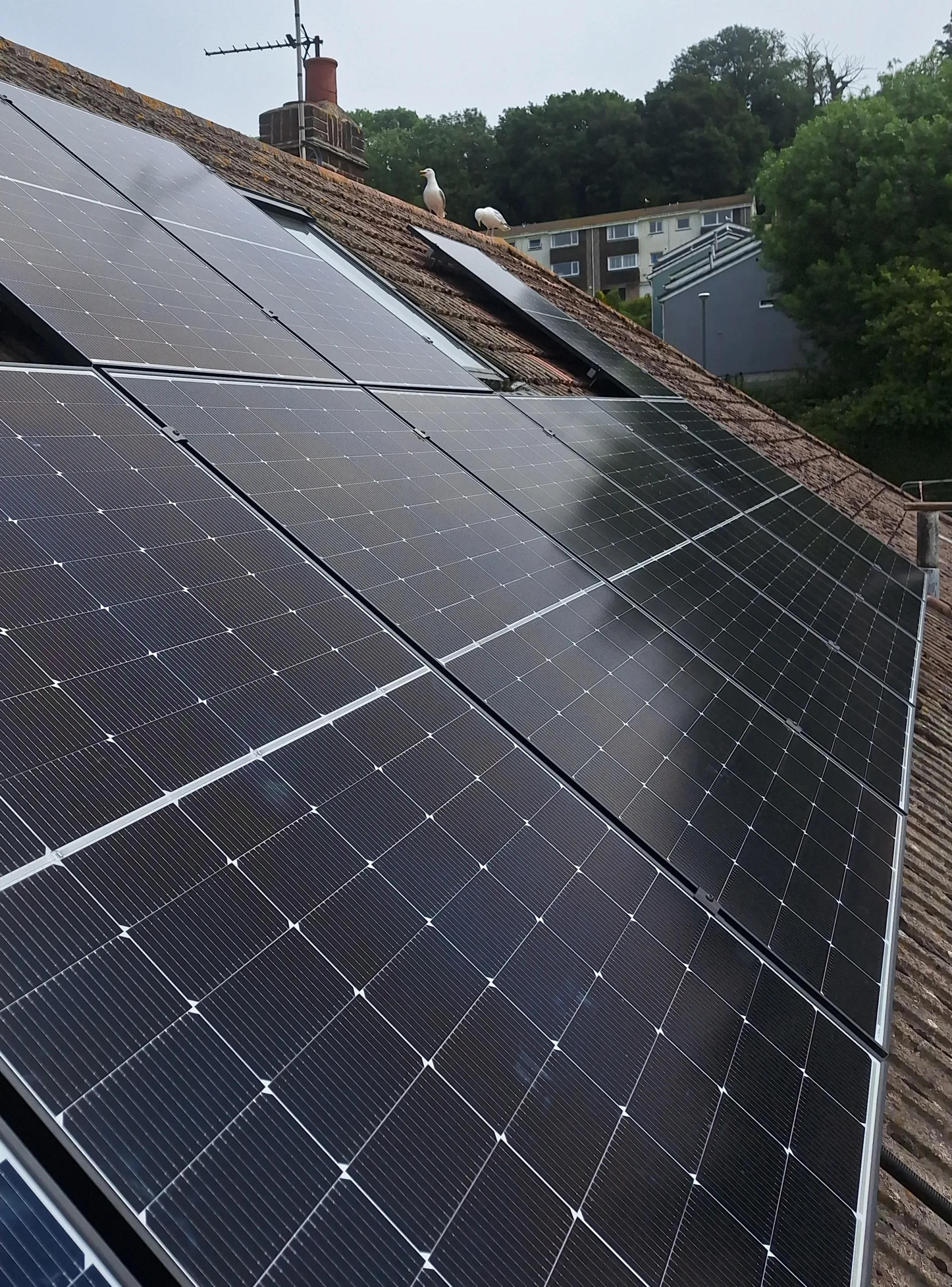 brixham-solar-panels-ja-solar Solar Panels Hope Cove, Kingsbridge