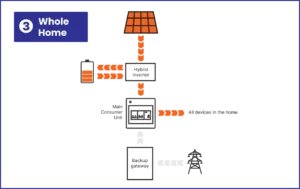 Battery Backup - Whole Home