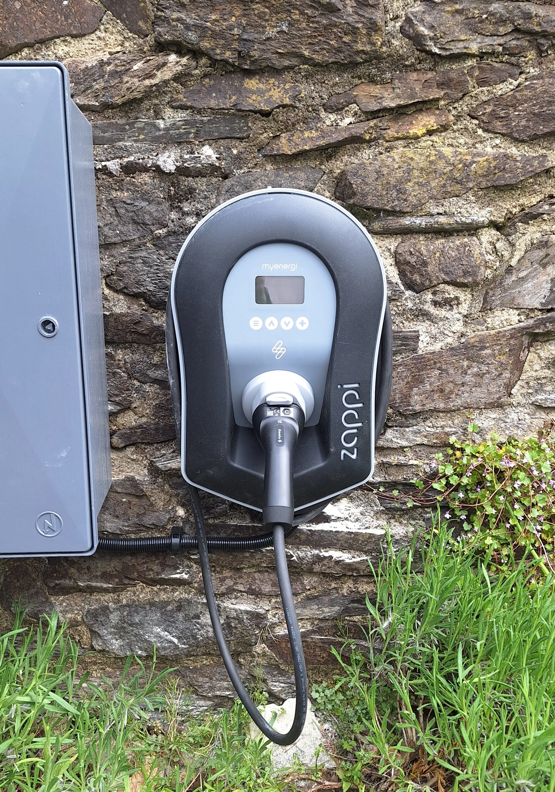 MyEnergi Zappi Dartmouth